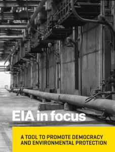 EIA in focus eng EIA in focus eng
