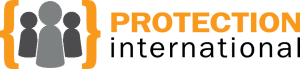 Pr Int Pr Int logo