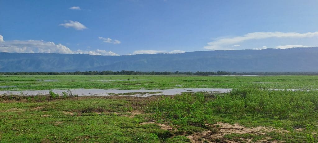 20240525 162208 20240525 162208