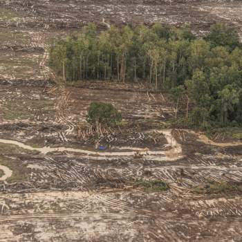 New forms of colonization, same harm: how Indigenous Peoples in West Papua are resisting and protecting their land