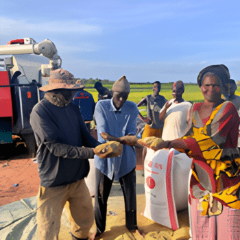 Strengthening safeguard accountability through community engagement in the Gambia