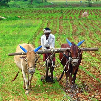 The world’s food systems are in crisis, and big agribusiness is at its heart