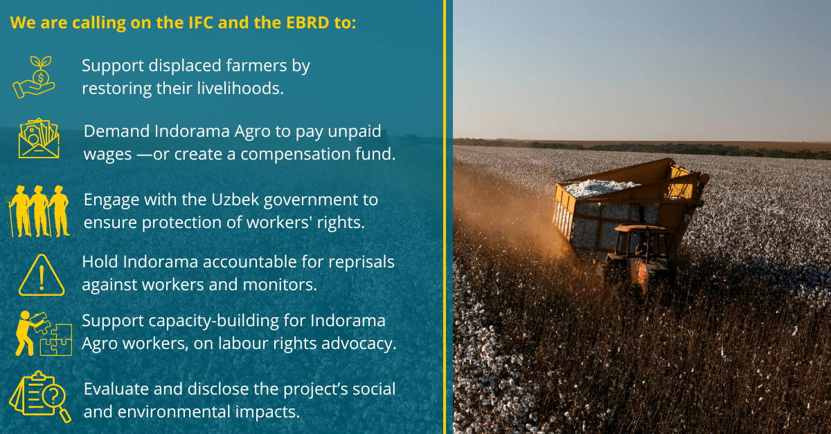 Indorama 6 Indorama 6