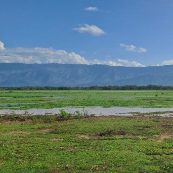 Kenya: resisting forced evictions in the context of oil and conservation projects